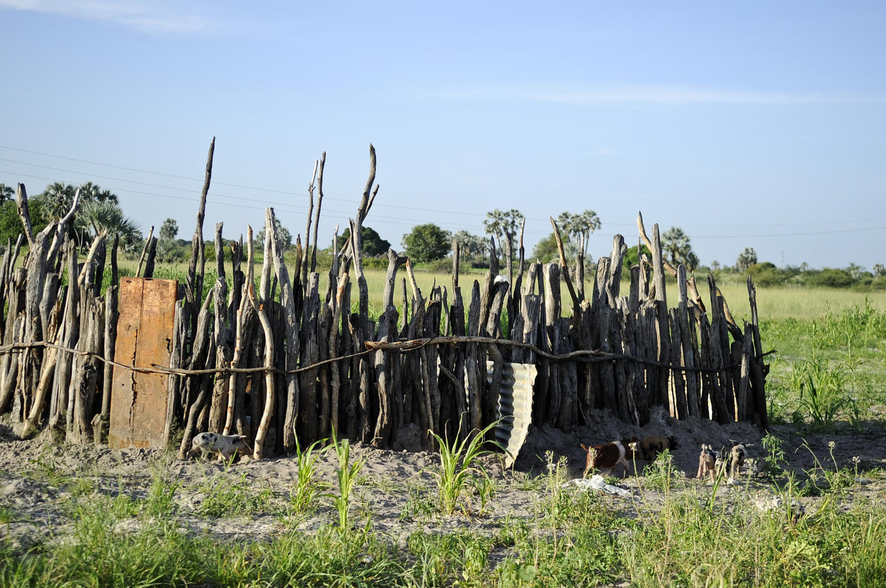 Ongula Village Homestead Lodge Omupumba Екстериор снимка